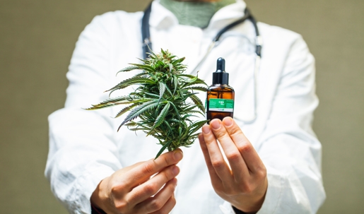 doctor holding Medical Marijuana